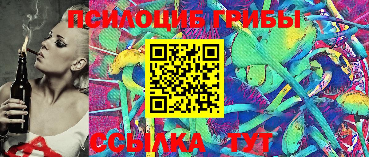 Курчалой  Псилоцибиновые грибы ЛСД  Галлюциногенные грибы Magic Shrooms  Вход с VPN 