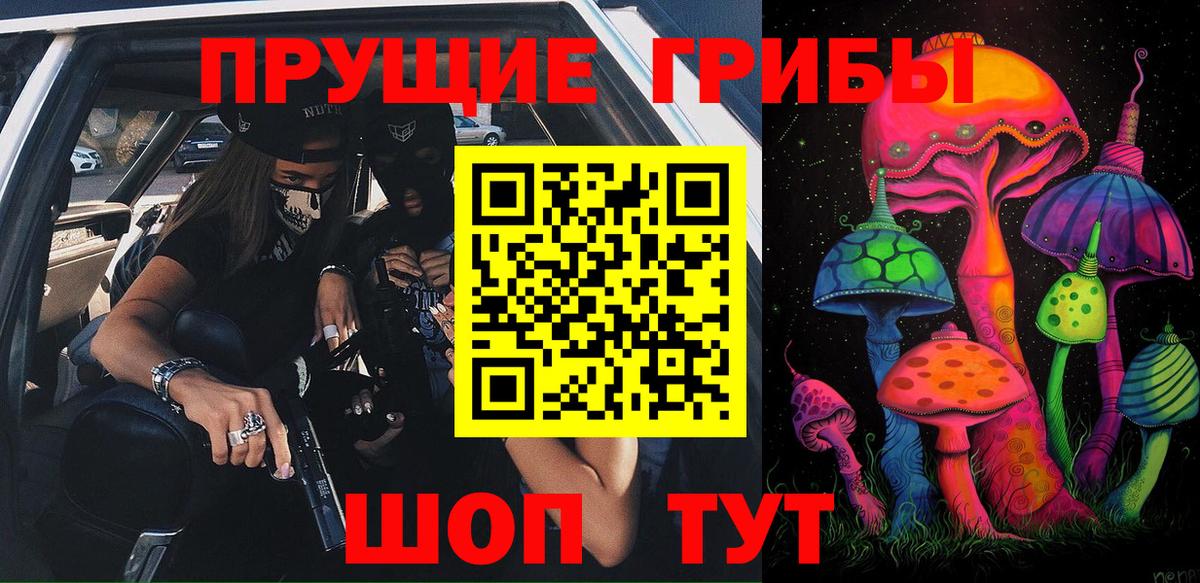 Псилоцибиновые грибы Cubensis Курчалой